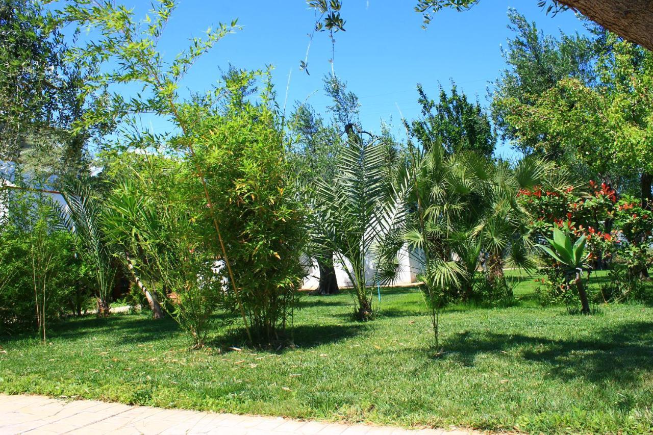 Green Garden Eco-Holiday Vieste Exterior photo